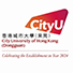 香港城市大学（东莞） 专业设置与招生信息